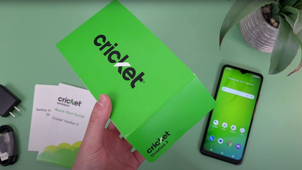 Cricket unboxing
