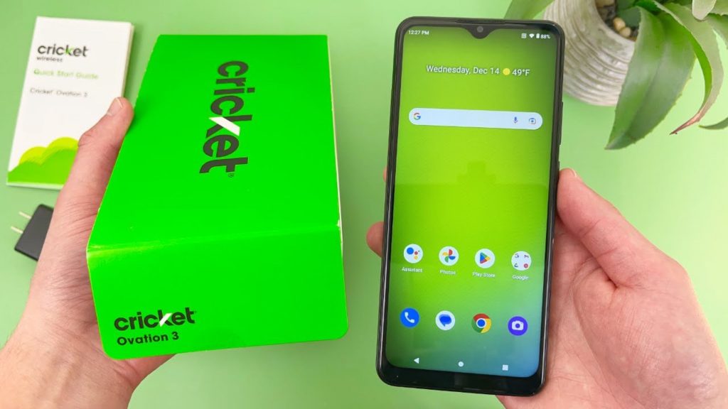 Cricket unboxing
