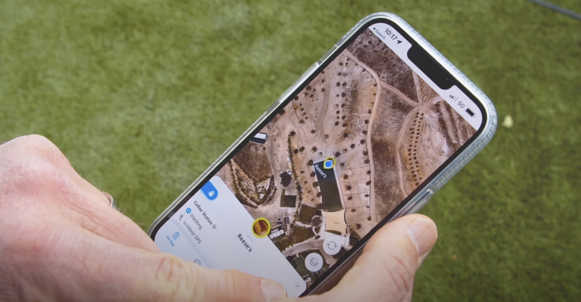 dog tracking application