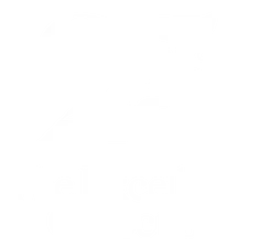 The Excellence Collection